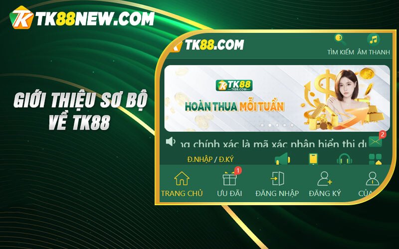 Tk88 Casino - Link vào cá cược trực tuyến tại nhà cái 5 Giới thiệu sơ bộ về TK88 casino