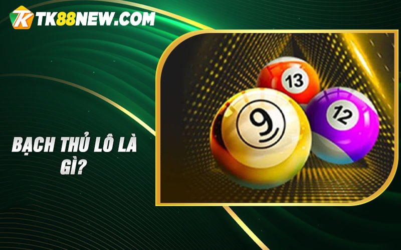 Bạch thủ lô là gì