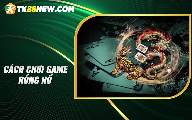 Game Rồng Hổ TK88 - Lựa chọn hàng đầu của các game thủ 5 Cách chơi game Rồng Hổ