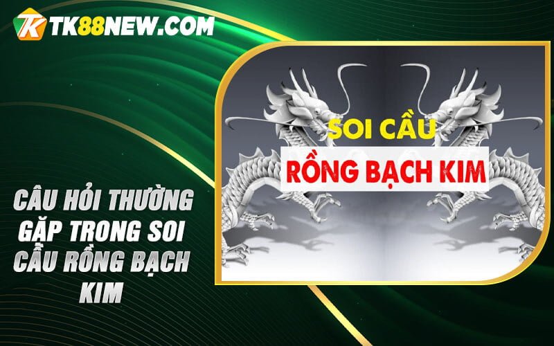 Soi Cầu Rồng Bạch Kim - Cơ Hội Vàng Cho Các Tín Đồ Lô Đề 6 Câu hỏi thường gặp trong soi cầu Rồng Bạch Kim