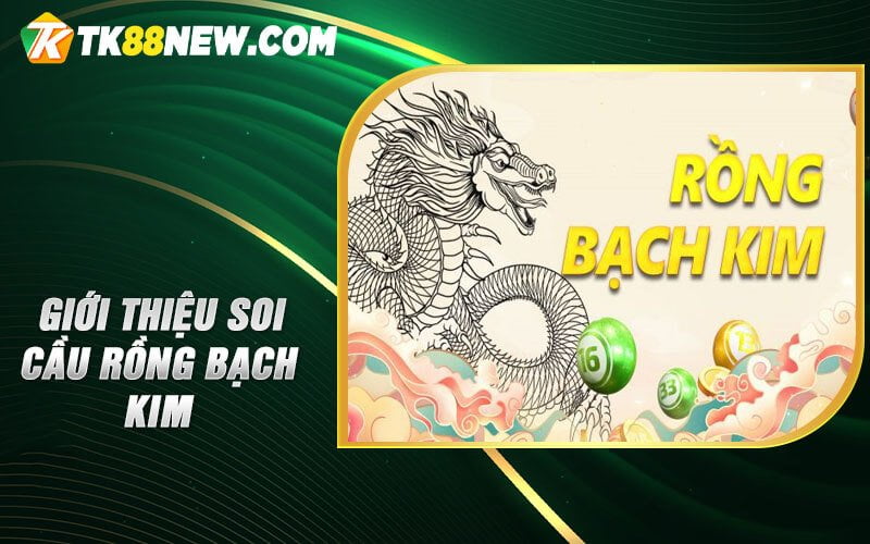 Soi Cầu Rồng Bạch Kim - Cơ Hội Vàng Cho Các Tín Đồ Lô Đề 4 Giới thiệu soi cầu Rồng Bạch Kim