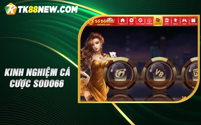 Đánh giá Sodo66 - Nhà cái hàng đầu cho trải nghiệm cá cược 5 Kinh nghiệm cá cược Sodo66