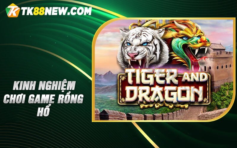Game Rồng Hổ TK88 - Lựa chọn hàng đầu của các game thủ 6 Kinh nghiệm chơi game Rồng Hổ