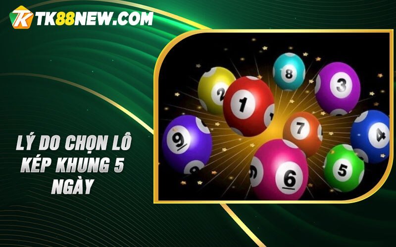 Lô kép khung 5 ngày - Bí mật thắng lớn trong thế giới xổ số 5 Lý do chọn Lô kép khung 5 ngày