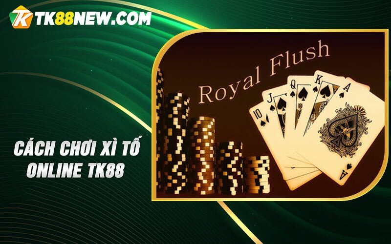 Xì Tố Online TK88 - Hòa mình vào không gian đỉnh cao bài tố 6 Cách chơi Xì Tố online TK88