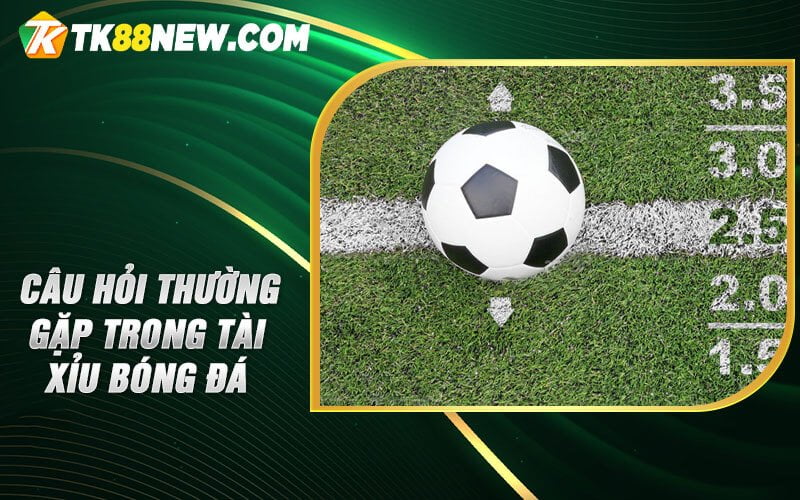 Tài Xỉu Bóng Đá TK88 - Hướng dẫn vàng giúp bạn thắng lớn! 6 Câu hỏi thường gặp trong Tài xỉu bóng đá