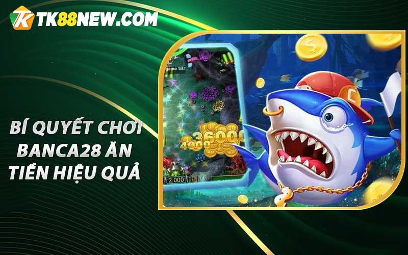 Banca28 - Phiên Bản Tải App Apk Xuống Mới Nhất 2023 6 Bí quyết chơi banca28 ăn tiền hiệu quả